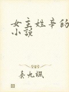 女主姓辛的穿越小说