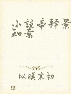 小说帝释景,南知意