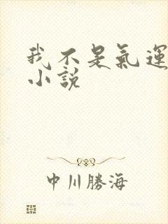 我不是气运之子小说