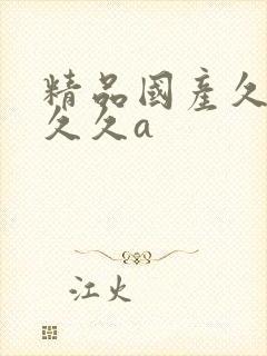 精品国产久久久久久a