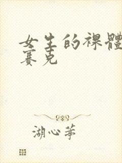 女生的裸体无马赛克