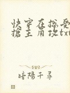 快穿在总受文里抢主角攻txt下载