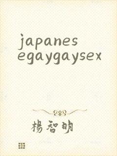 japanesegaygaysex封面