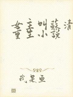 女主叫苏清婉的重生小说