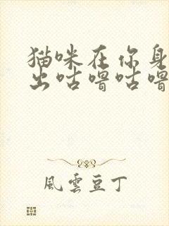 猫咪在你身边发出咕噜咕噜的声音