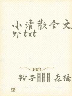 小清欢全文加番外txt封面