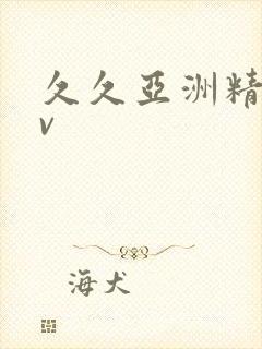 久久亚洲精品gv