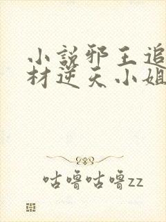 小说邪王追妻废材逆天小姐