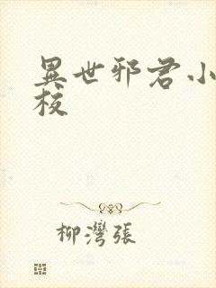 异世邪君小说精校