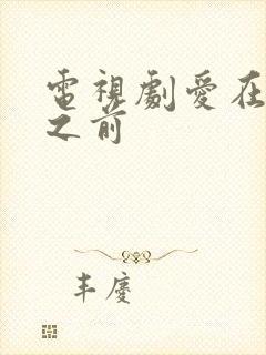 电视剧爱在日落之前