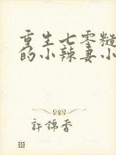 重生七零糙汉家的小辣妻小说