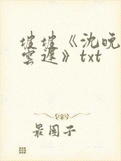 坡坡《沈晚梨谢云迟》txt