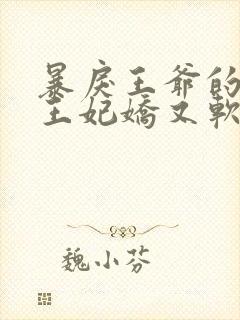 暴戾王爷的替嫁王妃娇又软封面