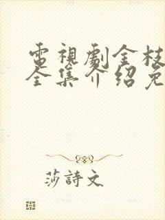 电视剧金枝玉叶全集介绍免费观看