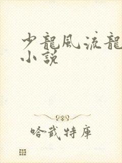 少龙风流龙剑飞小说