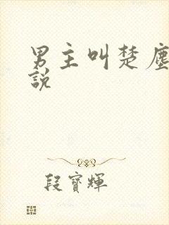 男主叫楚尘的小说