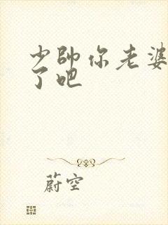 少帅你老婆又跑了吧封面