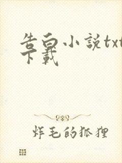 告白小说txt下载