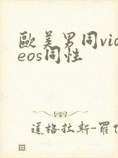 欧美男同videos同性