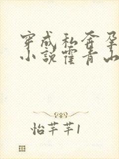 穿成私奔孕妻的小说霍青山全文阅读封面