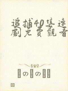 追捕40集连续剧免费观看