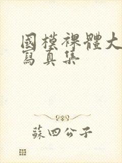 国模裸体大尺度写真集封面