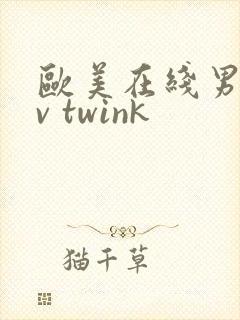 欧美在线男男gv twink