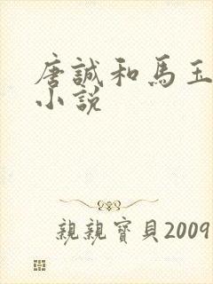 唐诚和马玉婷的小说