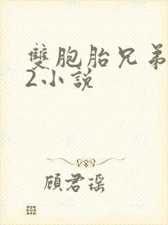 双胞胎兄弟1v2小说