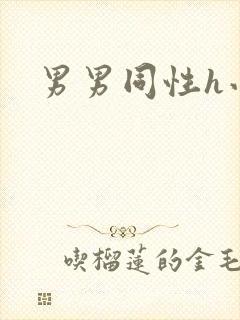 男男同性h小说封面