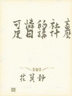 可怜的社畜 东度日讲什么