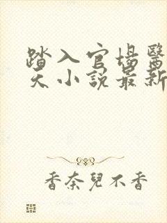 踏入官场医道问天小说最新章节封面