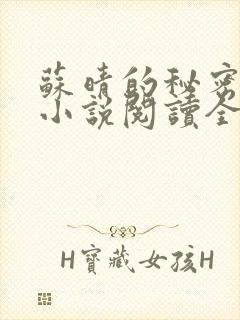 苏晴的秘密言情小说阅读全文免费