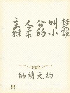 主人公叫楚南秦雅柔的小说