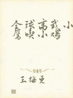 全球高武小说老鹰吃小鸡