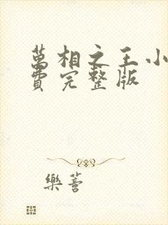 万相之王小说免费完整版封面