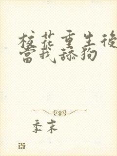 校花重生后哭着当我舔狗