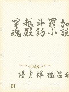 穿越斗罗加入武魂殿的小说