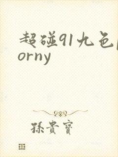 超碰91九色porny
