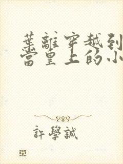 叶离穿越到古代当皇上的小说