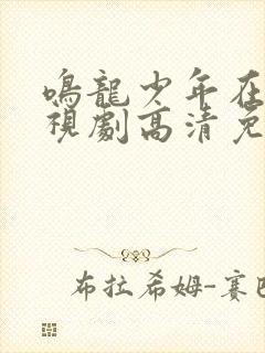 鸣龙少年在线电视剧高清免费观看封面