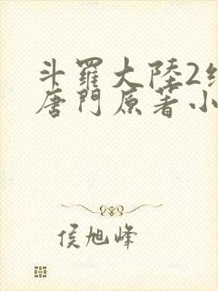 斗罗大陆2绝世唐门原著小说封面