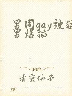 男同gay被猛男爆插