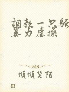 调教一只骚母狗暴力虐操