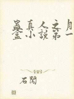 蛊真人之月光宝盒小说第一部封面