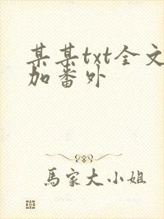 某某txt全文加番外