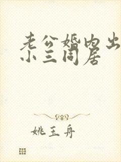 老公婚内出轨跟小三同居封面