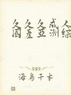 久久久成人精品国产亚洲综合