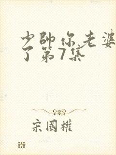 少帅你老婆又跑了第7集