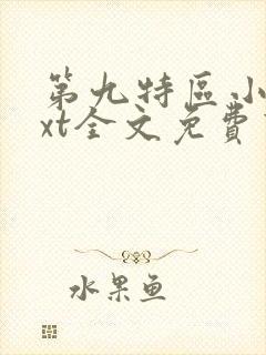 第九特区小说txt全文免费下载封面